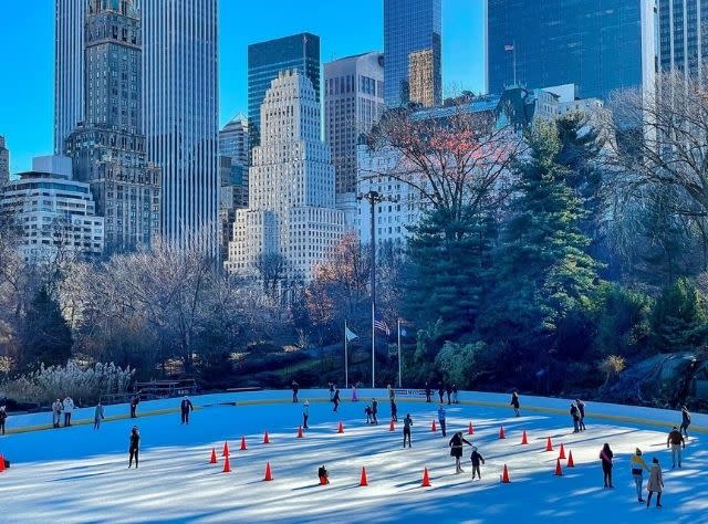 Ice Skating Safety