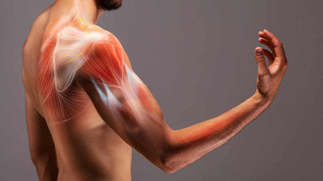 How Long does it Take for Muscles to Heal?